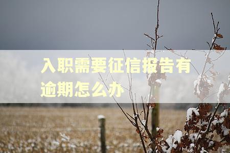 入职需要征信报告有逾期怎么办