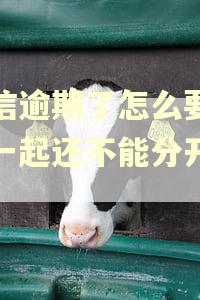 捷信逾期了怎么要两期一起还不能分开还吗