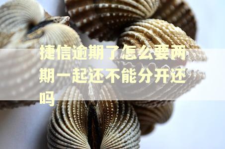 捷信逾期了怎么要两期一起还不能分开还吗