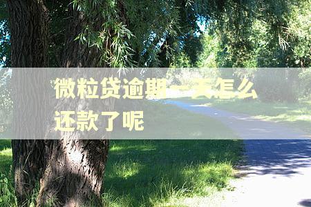 微粒贷逾期一天怎么还款了呢