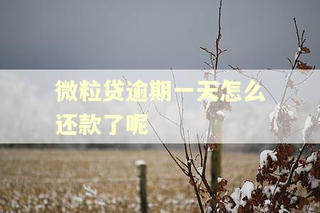 微粒贷逾期一天怎么还款了呢 微粒贷逾期一天怎么还款了呢
