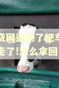 微贷网逾期了把车子开走了!怎么拿回