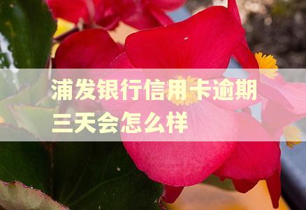 浦发银行信用卡逾期三天会怎么样