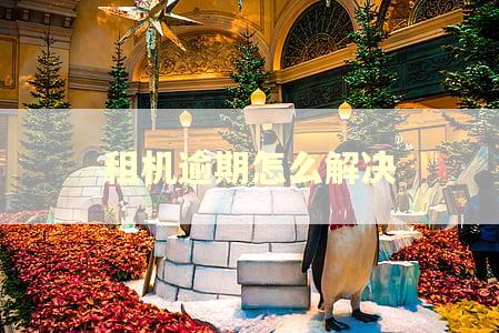 租机逾期怎么解决