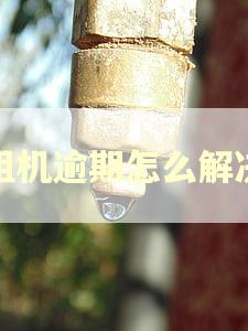 租机逾期怎么解决 租机逾期怎么解决