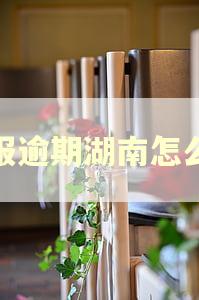 年报逾期湖南怎么办