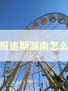 年报逾期湖南怎么办