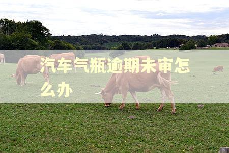 汽车气瓶逾期未审怎么办