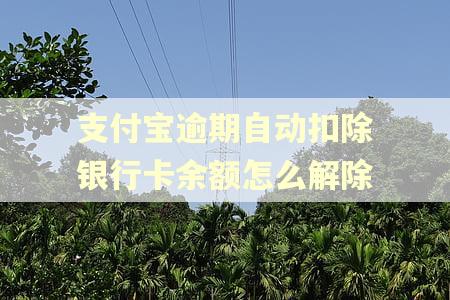 支付宝逾期自动扣除银行卡余额怎么解除