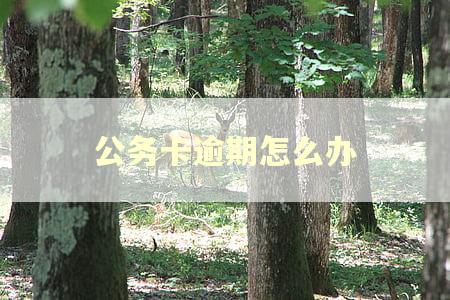 公务卡逾期怎么办