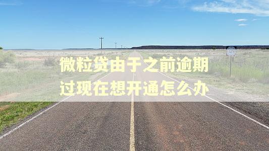 微粒贷由于之前逾期过现在想开通怎么办