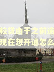 微粒贷由于之前逾期过现在想开通怎么办