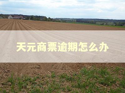 天元商票逾期怎么办