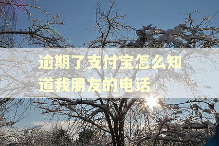 逾期了支付宝怎么知道我朋友的电话