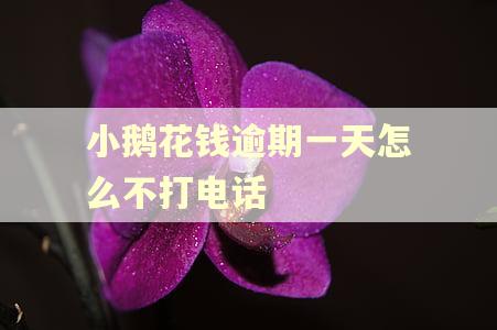 小鹅花钱逾期一天怎么不打电话