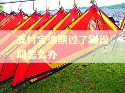 支付宝逾期过了诉讼期怎么办