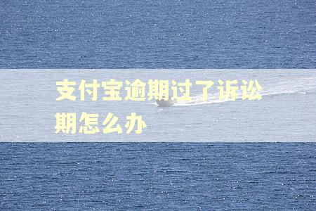支付宝逾期过了诉讼期怎么办