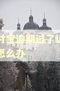 支付宝逾期过了诉讼期怎么办