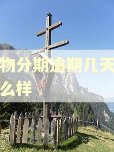 得物分期逾期几天会怎么样