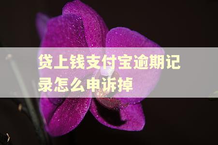 贷上钱支付宝逾期记录怎么申诉掉