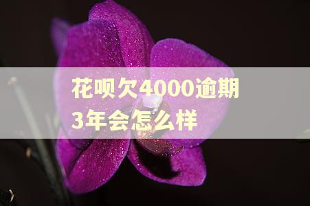 花呗欠4000逾期3年会怎么样 花呗欠4000逾期3年会怎么样