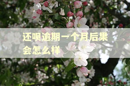 还呗逾期一个月后果会怎么样