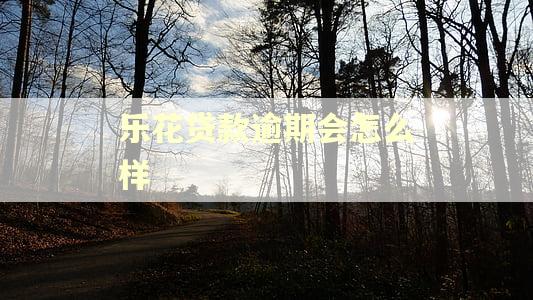 乐花贷款逾期会怎么样