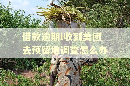 借款逾期l收到美团去预留地调查怎么办