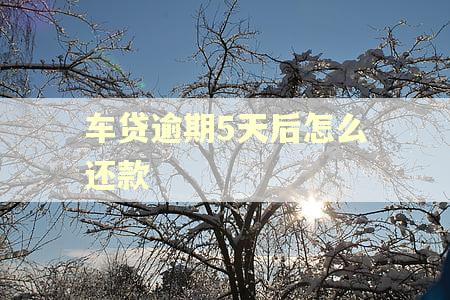车贷逾期5天后怎么还款