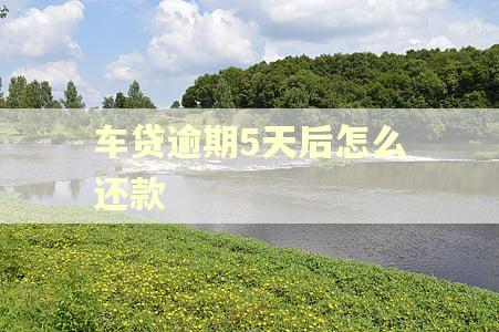车贷逾期5天后怎么还款