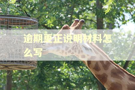 逾期更正说明材料怎么写
