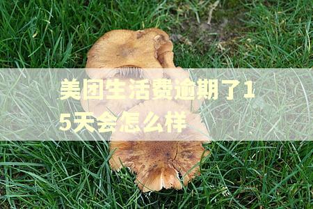 美团生活费逾期了15天会怎么样