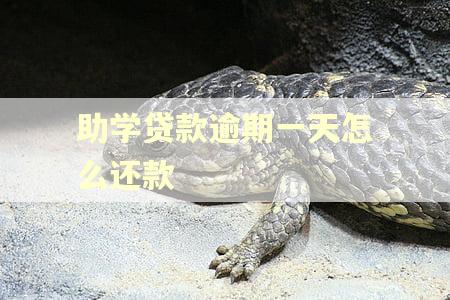 助学贷款逾期一天怎么还款