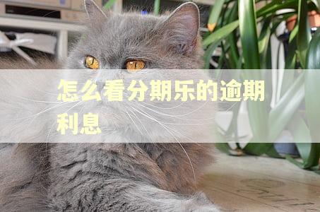 怎么看分期乐的逾期利息