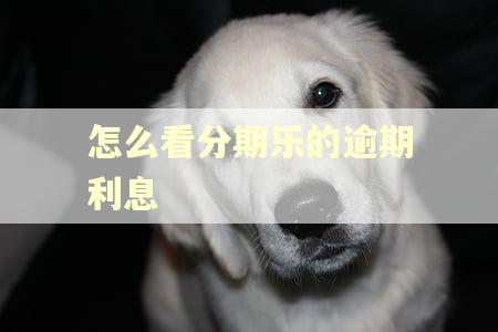 怎么看分期乐的逾期利息