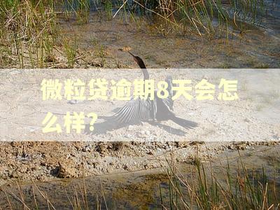 微粒贷逾期8天会怎么样? 微粒贷逾期8天会怎么样?