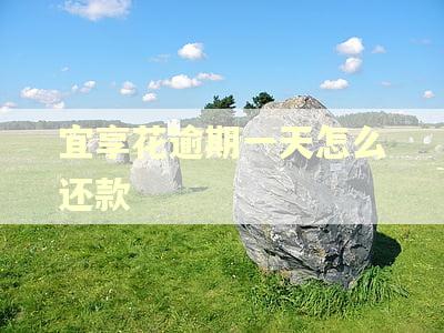 宜享花逾期一天怎么还款