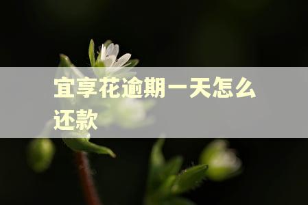 宜享花逾期一天怎么还款