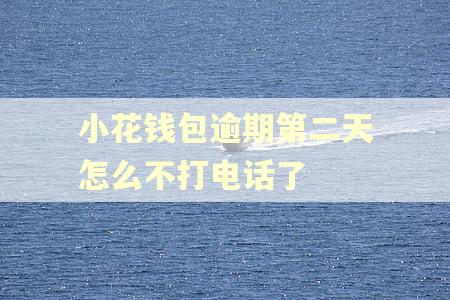 小花钱包逾期第二天怎么不打电话了