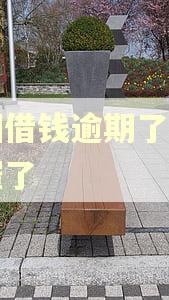 美团借钱逾期了怎么不催了