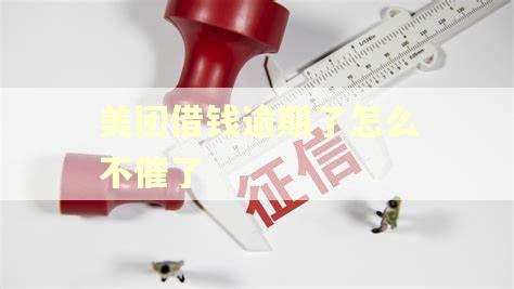 美团借钱逾期了怎么不催了