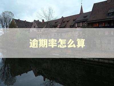 逾期率怎么算