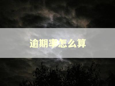 逾期率怎么算