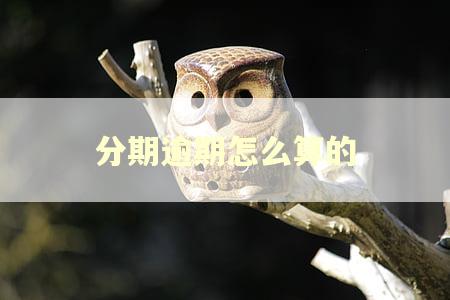 分期逾期怎么算的