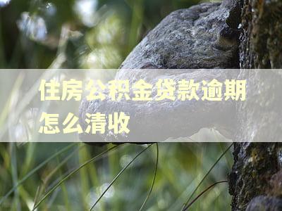 住房公积金贷款逾期怎么清收