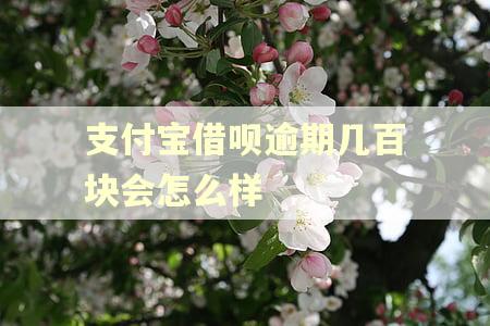 支付宝借呗逾期几百块会怎么样 支付宝借呗逾期几百块会怎么样