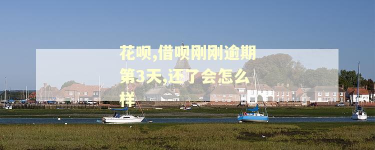 花呗,借呗刚刚逾期第3天,还了会怎么样