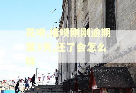 花呗,借呗刚刚逾期第3天,还了会怎么样