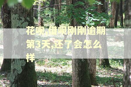 花呗,借呗刚刚逾期第3天,还了会怎么样 花呗,借呗刚刚逾期第3天,还了会怎么样