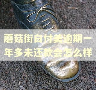 蘑菇街白付美逾期一年多未还款会怎么样